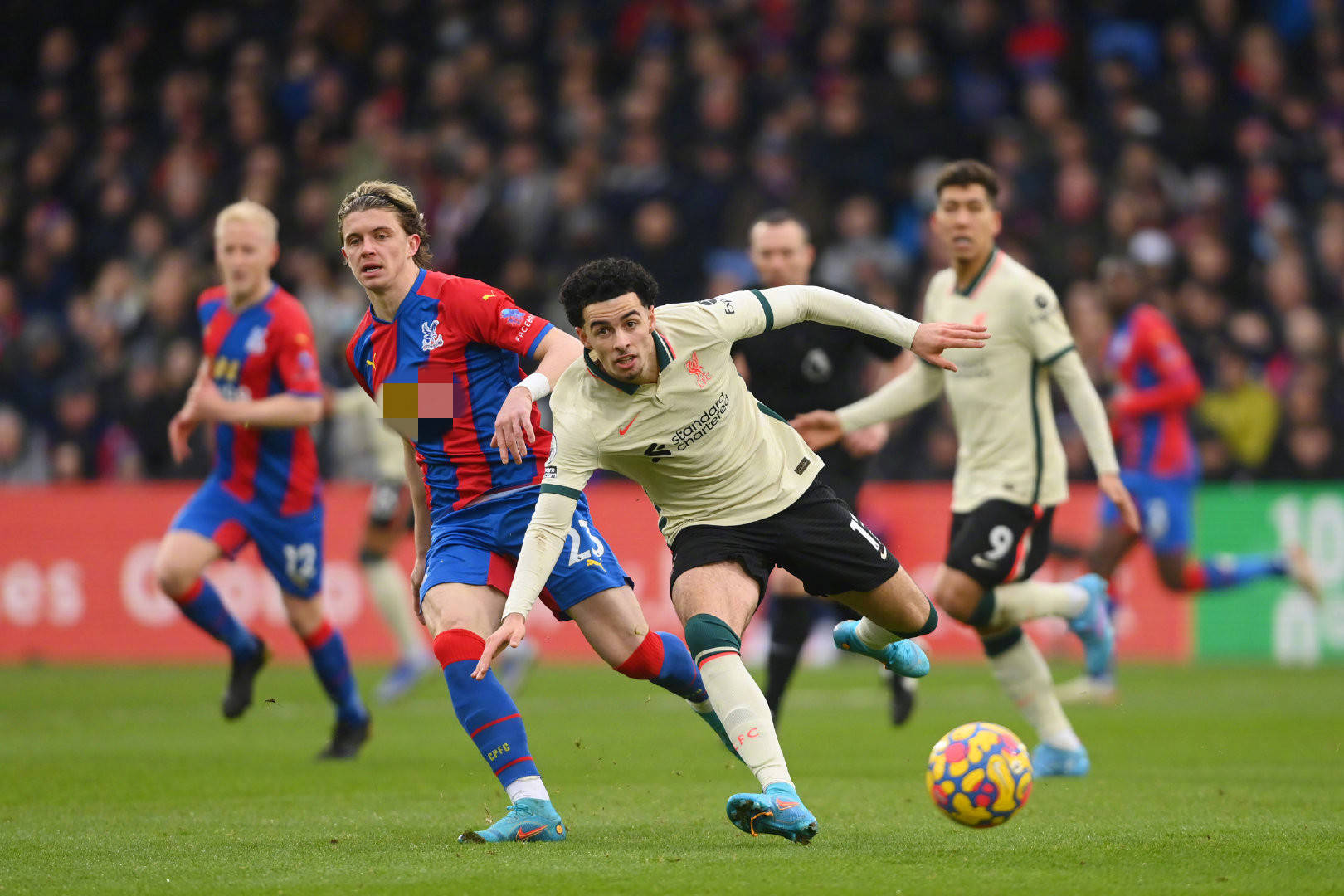 仿版瓦拉内 仿版瓦拉内