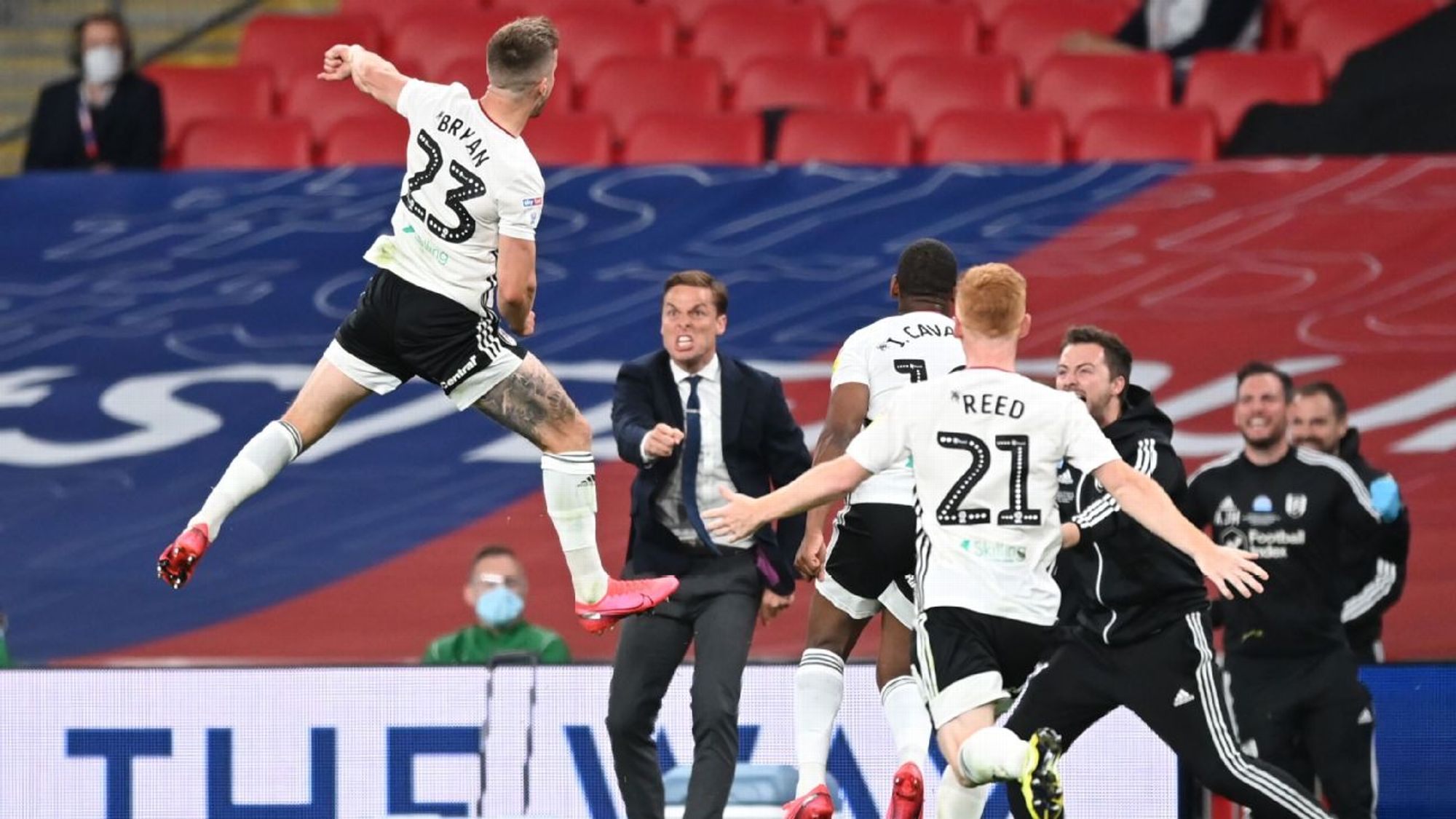 不仅展示了 不仅展示了