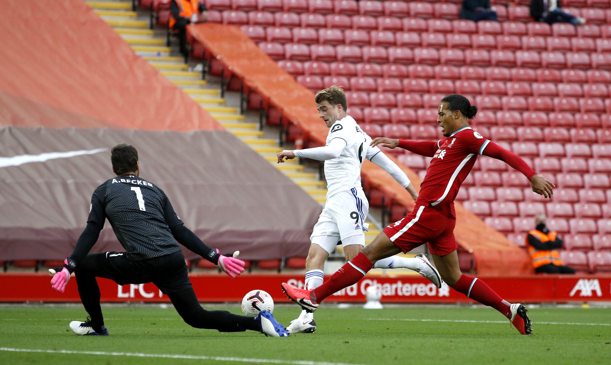 中国金花们 中国金花们